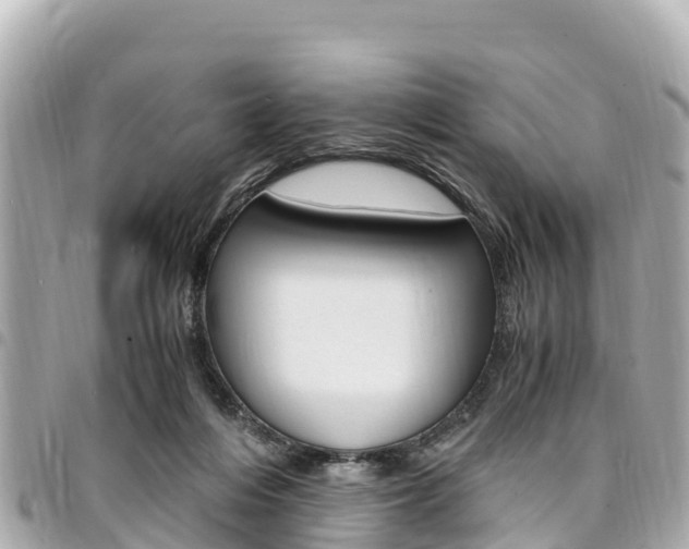 X0000095520216200712140917
