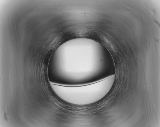 X0000095520217200712140917
