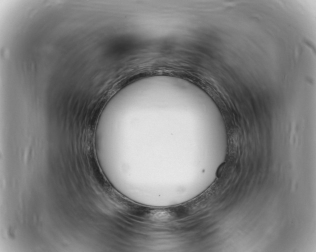 X0000095520218200712140917