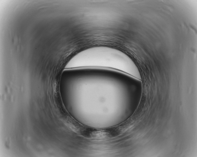 X0000095520219200712140917