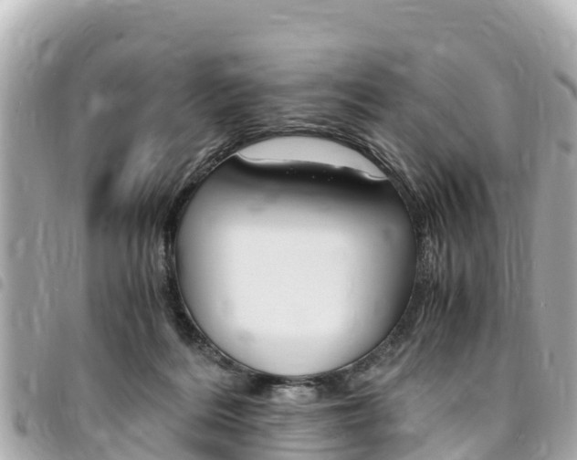 X0000095520220200712140917