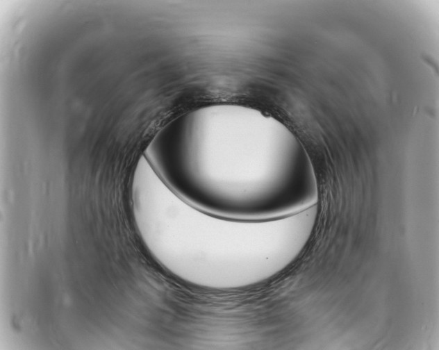 X0000095520221200712140917