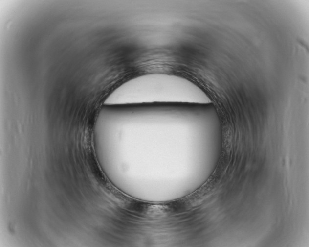 X0000095520222200712140916