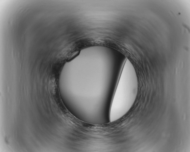 X0000095520223200712140916