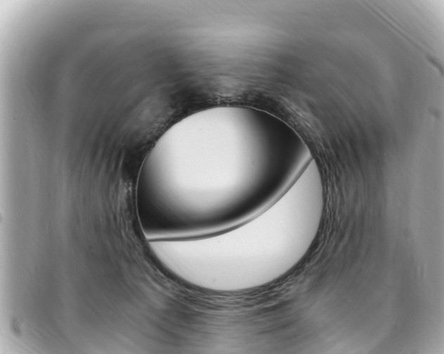 X0000095520225200712140916