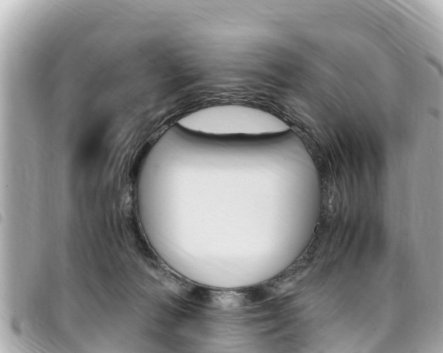 X0000095520226200712140916