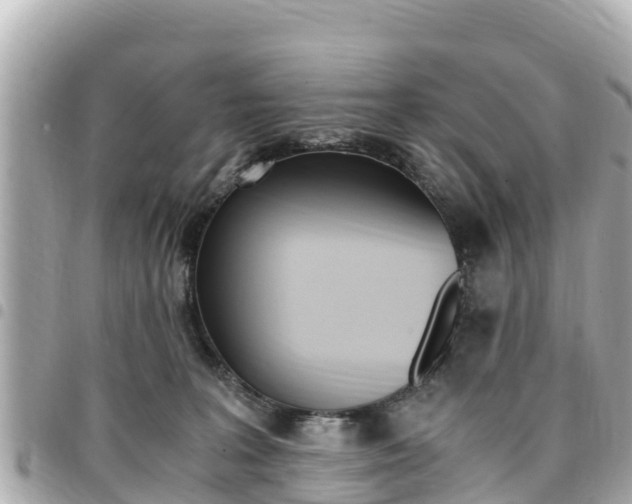 X0000095520227200712140916