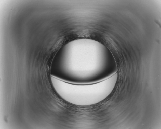 X0000095520229200712140916