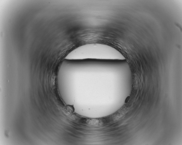 X0000095520230200712140916