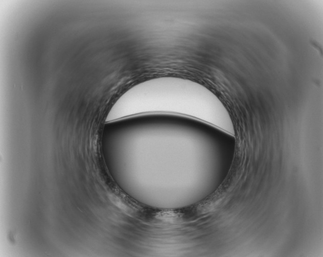 X0000095520231200712140916