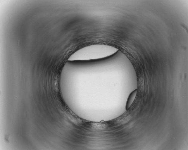 X0000095520234200712140916