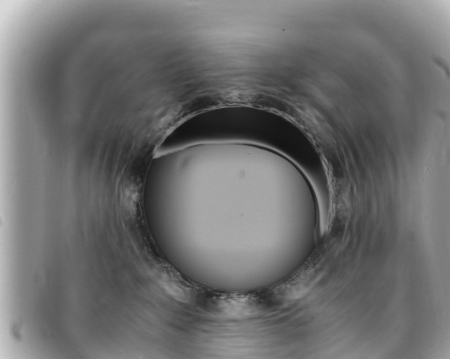 X0000095520235200712140916