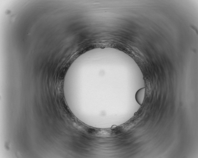 X0000095520236200712140916