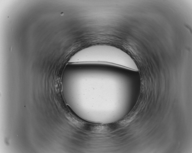 X0000095520237200712140916