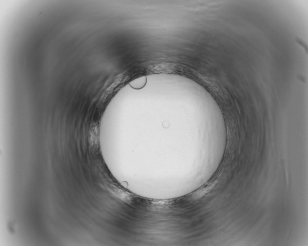 X0000095520240200712140916