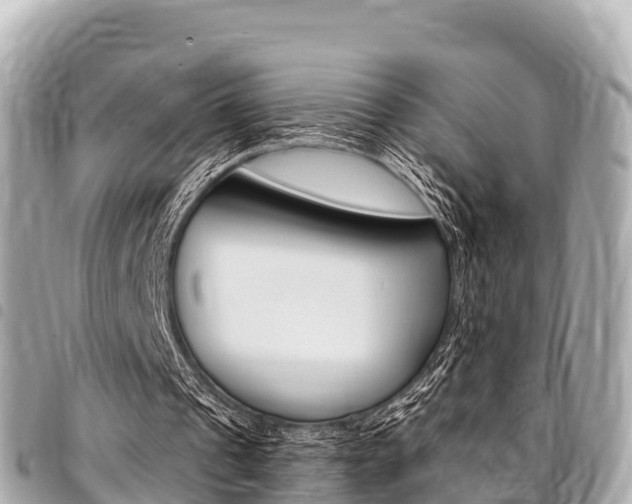 X0000095520241200712140916