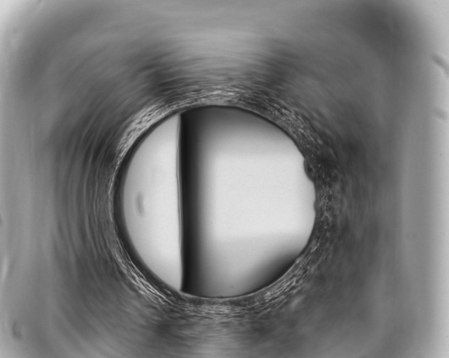 X0000095520242200712140916