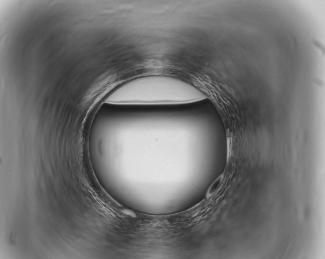 X0000095520243200712140916