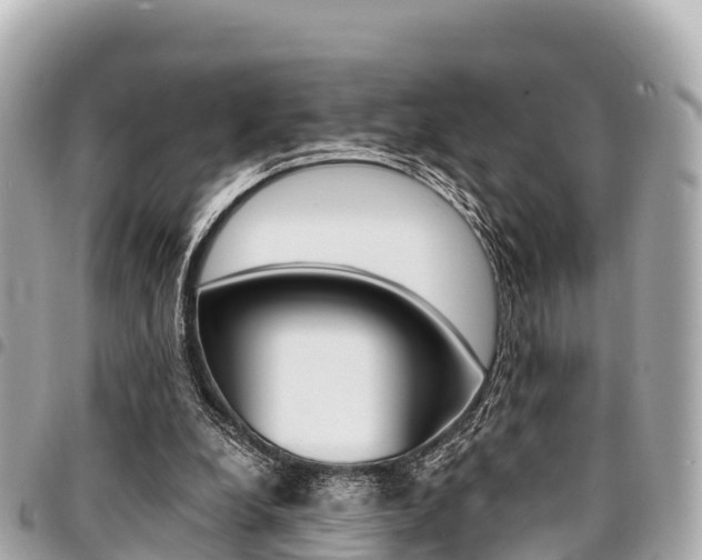 X0000095520248200712140916