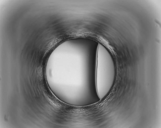X0000095520250200712140916