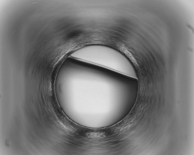 X0000095520251200712140916