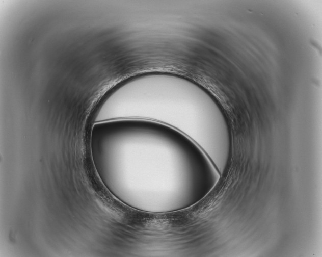 X0000095520252200712140916