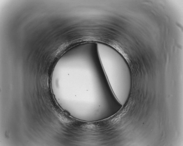 X0000095520253200712140916