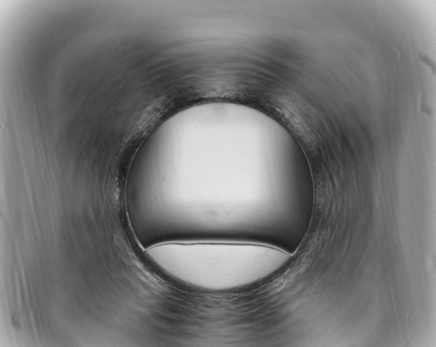 X0000095520261200712140916