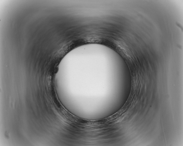 X0000095520263200712140916