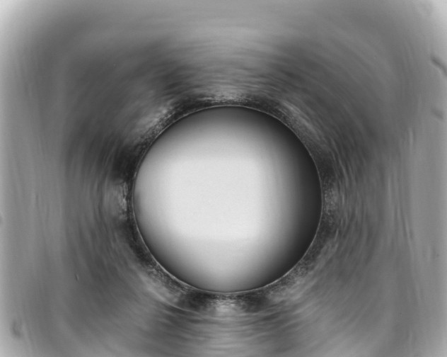 X0000095520264200712140916