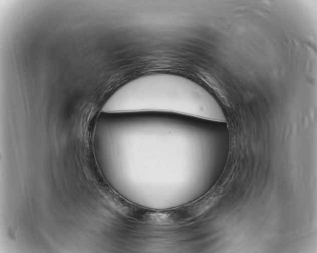X0000095520265200712140916