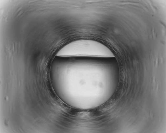 X0000095520266200712140916