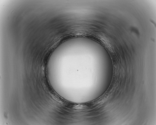 X0000095520269200712140916
