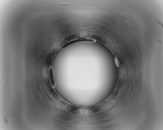 X0000095520272200712140916