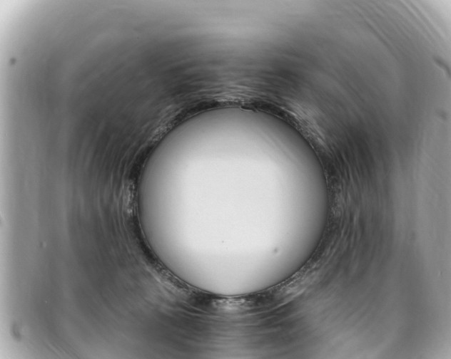 X0000095520273200712140916