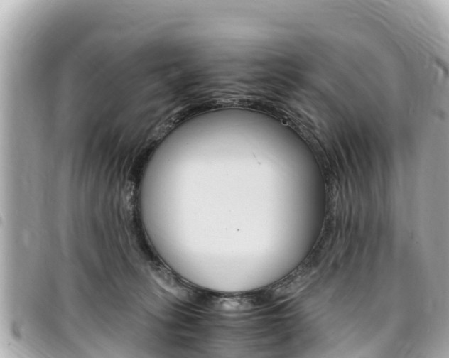 X0000095520275200712140916