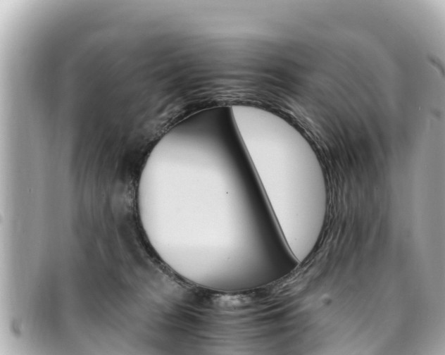 X0000095520277200712140916
