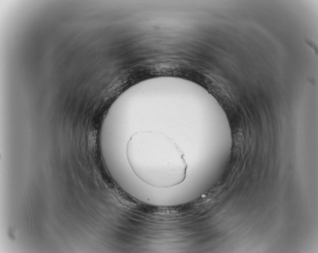 X0000095520278200712140916