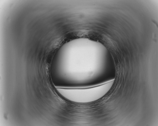 X0000095520280200712140916