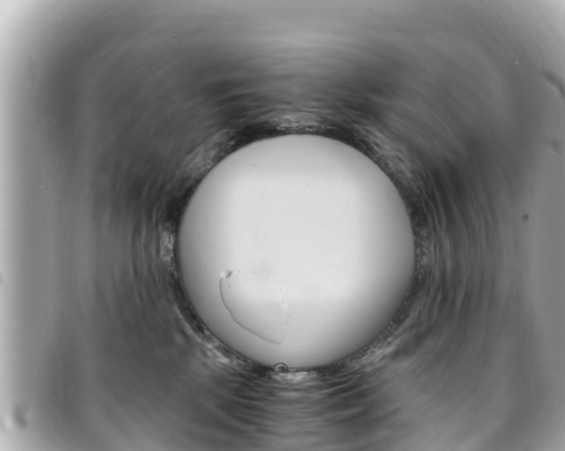 X0000095520281200712140916