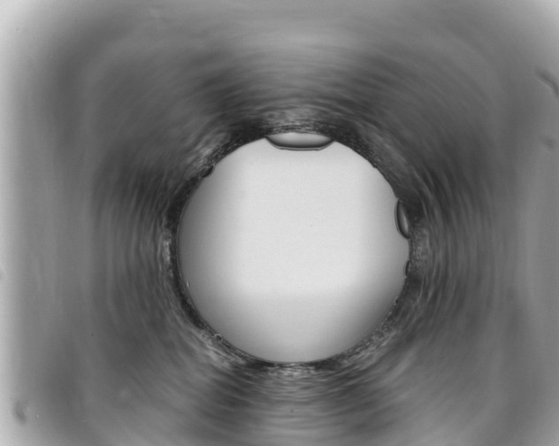 X0000095520282200712140916