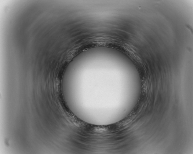 X0000095520283200712140916
