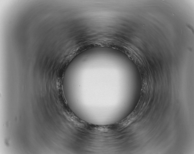 X0000095520284200712140916