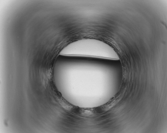 X0000095520285200712140916