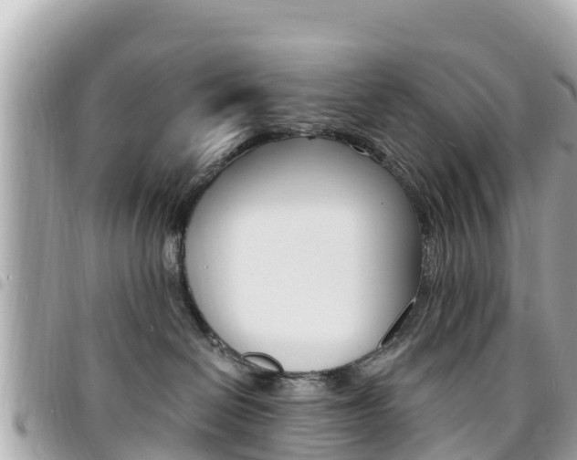 X0000095520286200712140916