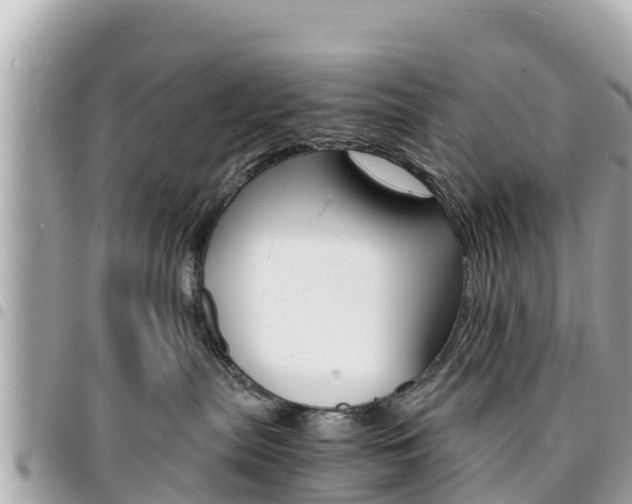 X0000095520287200712140916