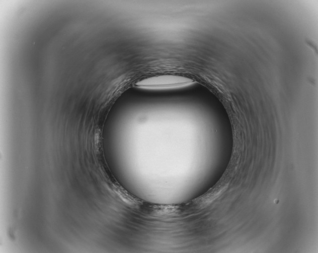 X0000095520288200712140916