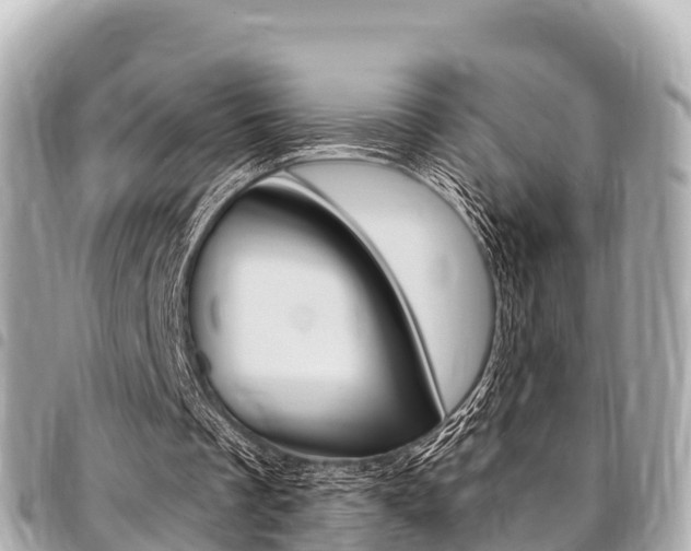 X0000095520289200712140916
