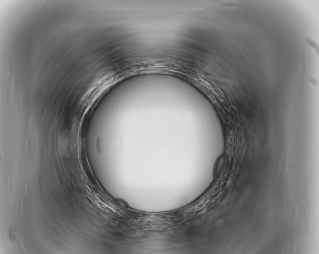 X0000095520290200712140916