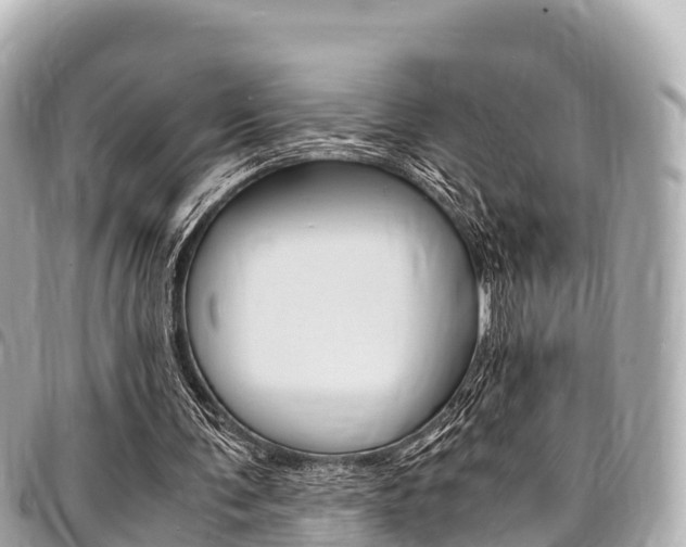 X0000095520291200712140916